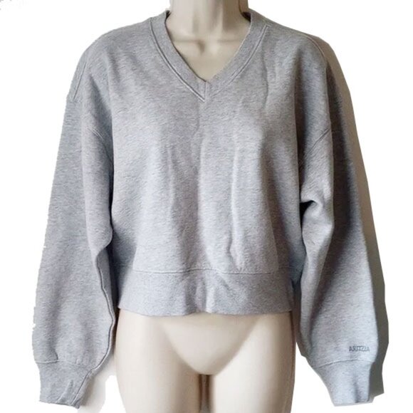 NWOT Aritzia Boyfriend Fit Sweatfleece Cozy Fleece V-Neck S Heather Gray - Picture 1 of 8